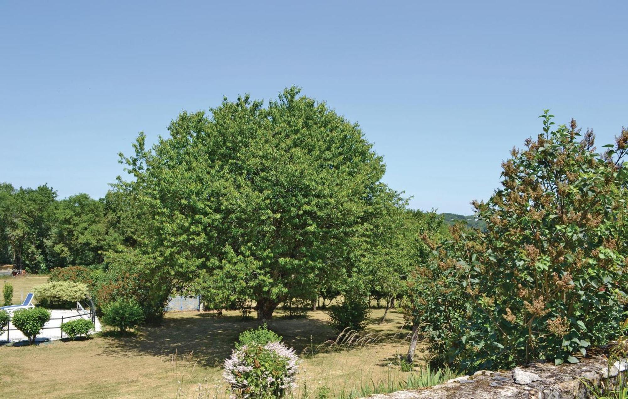 Amazing Home In Ladornac With Kitchen La Dornac Buitenkant foto